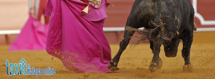 taxi plaza toros malaga