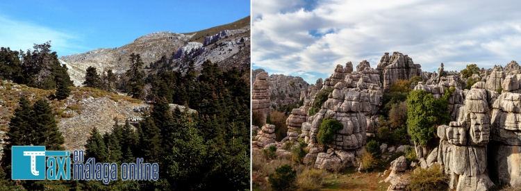 turismo rural malaga